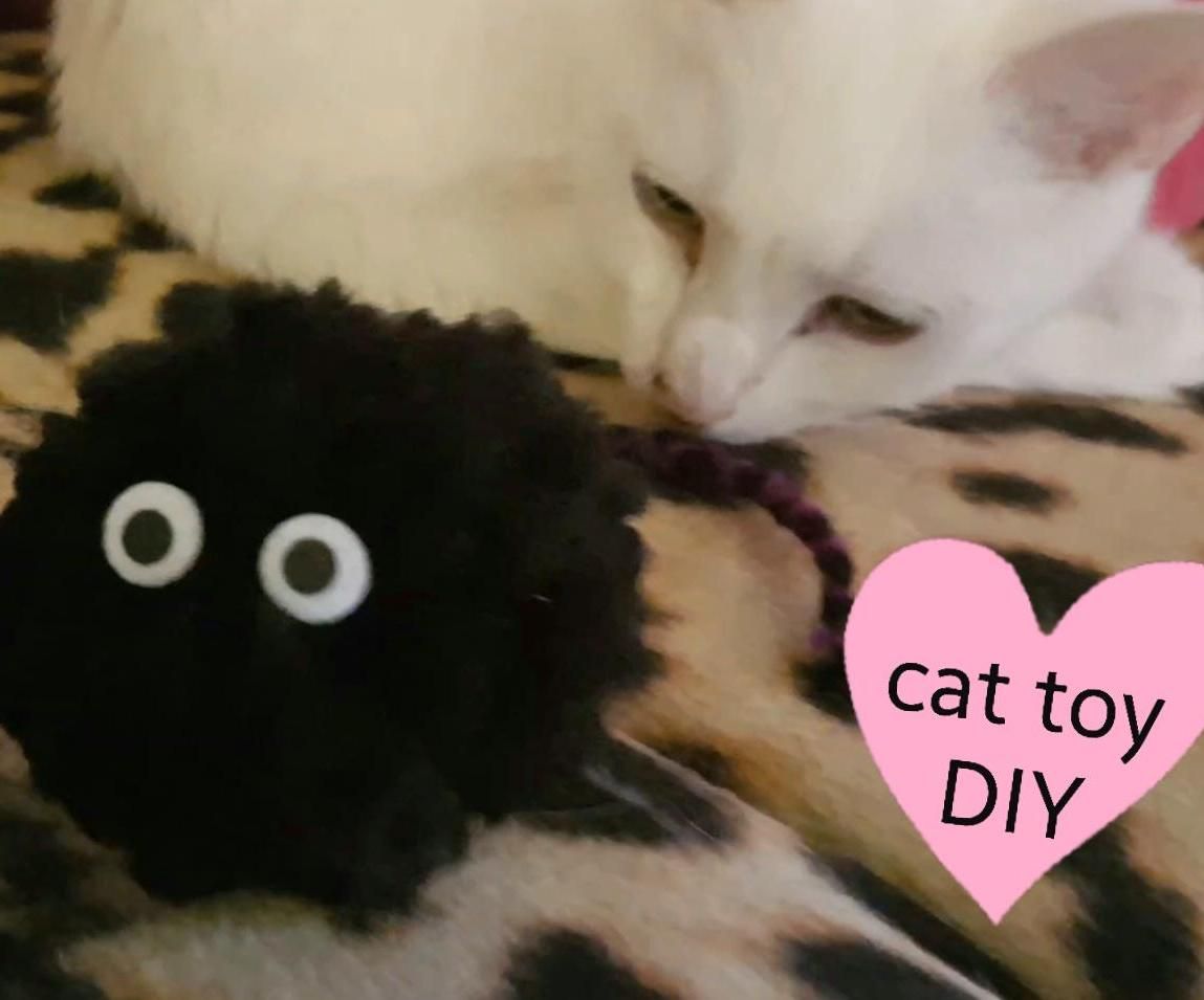 DIY Cat Toy (Pom Pom)