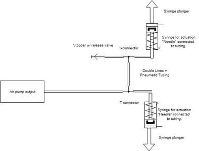 Assemble the Pneumatic Circuit