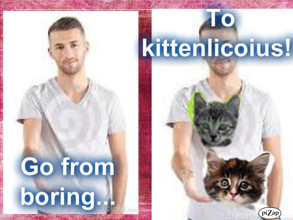 How to Make Your Clothes More Purr-fect!