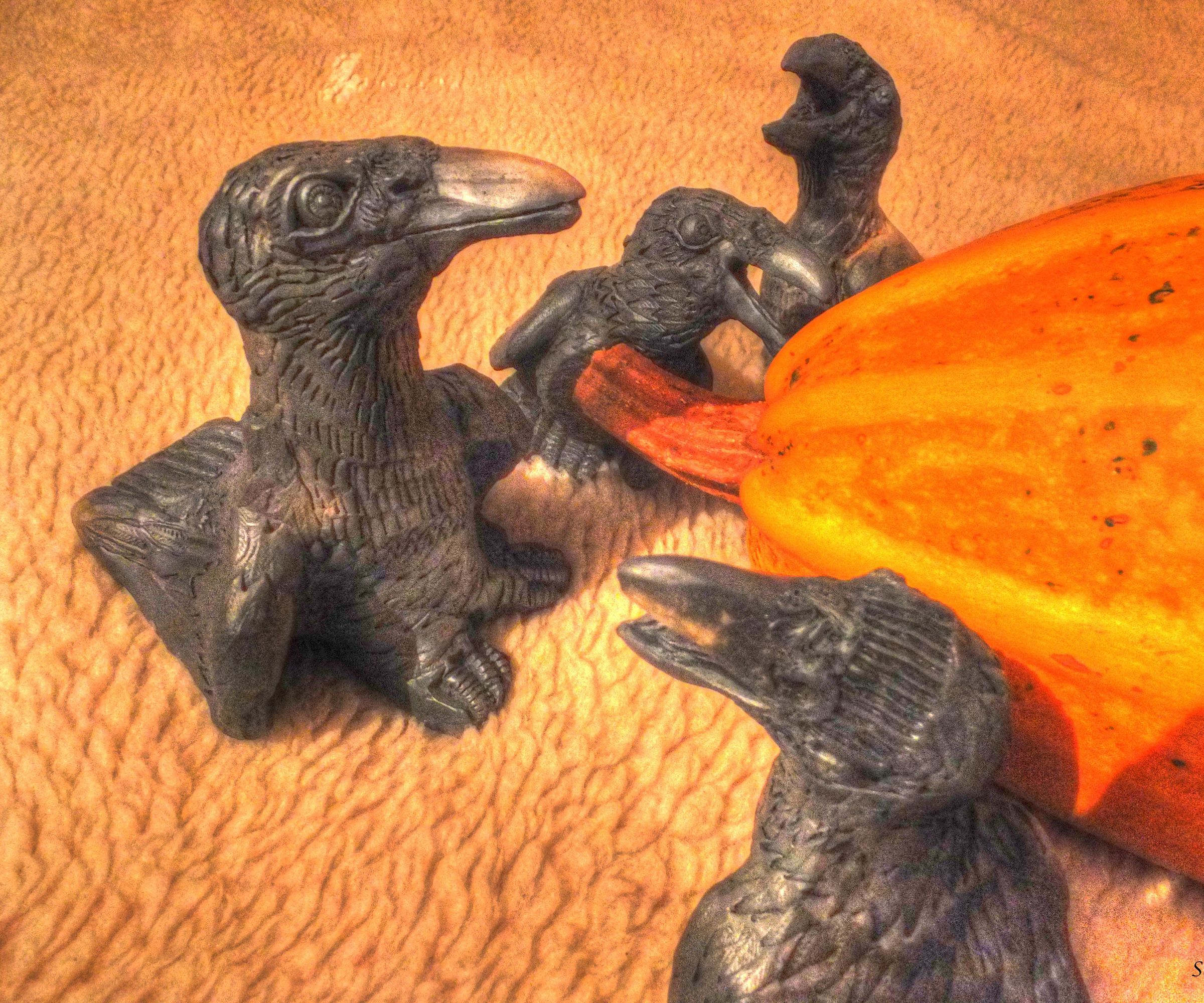 The Ravens