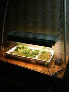 Better Lights