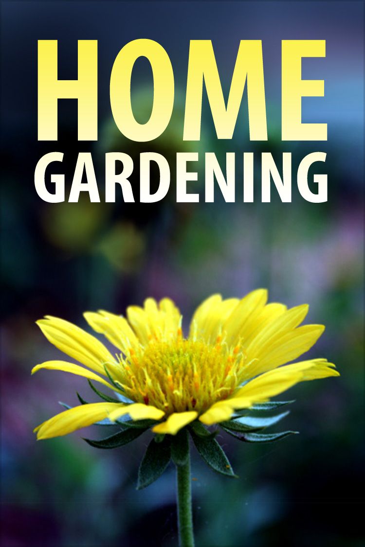 Home Gardening