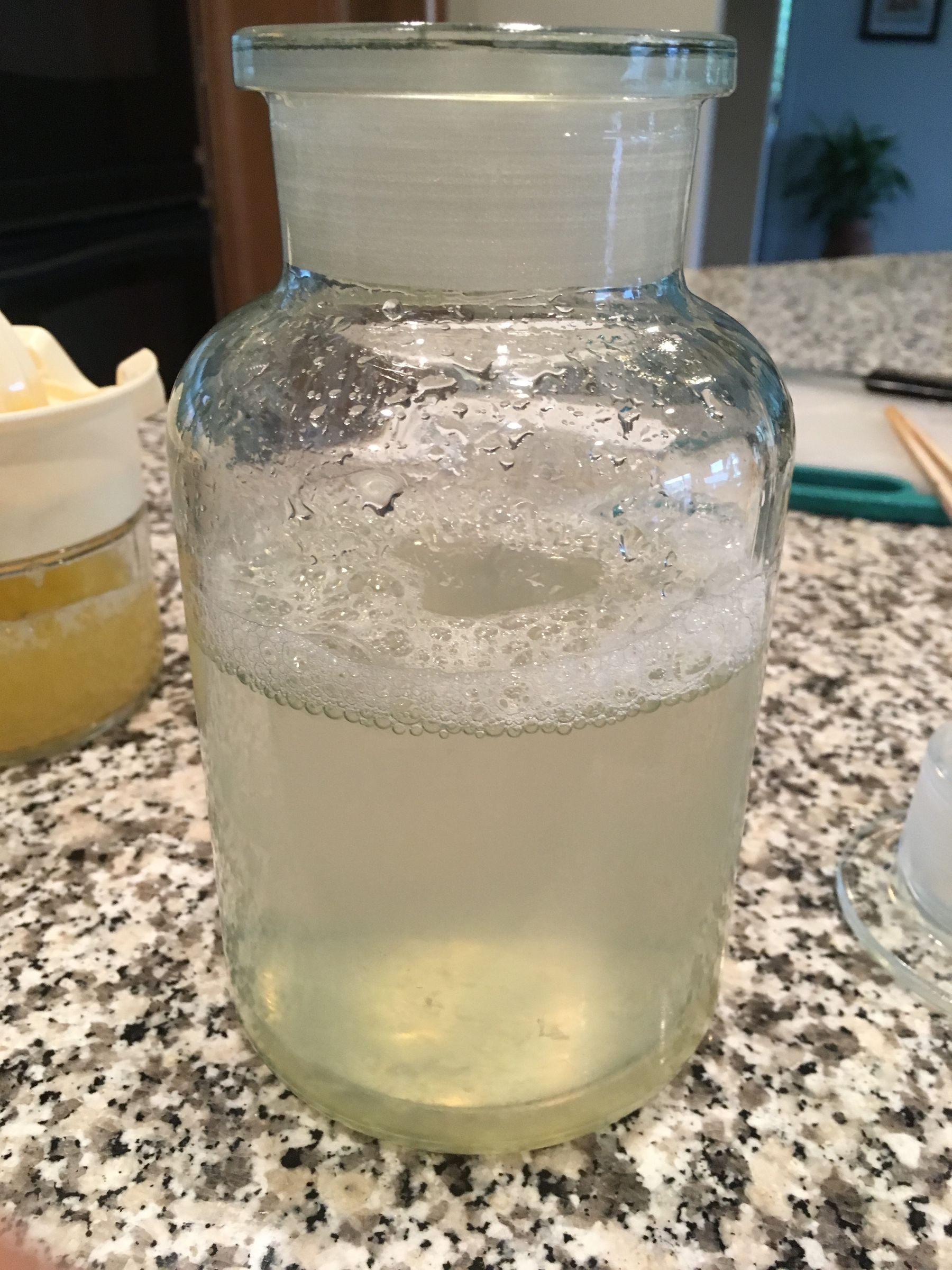 Honey Chia Lemonade 6 Steps (with Pictures) Instructables