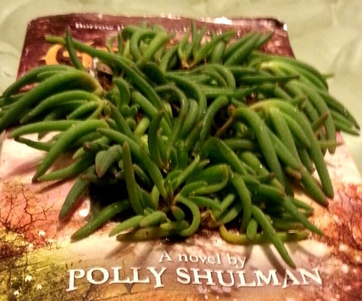 Book Planter