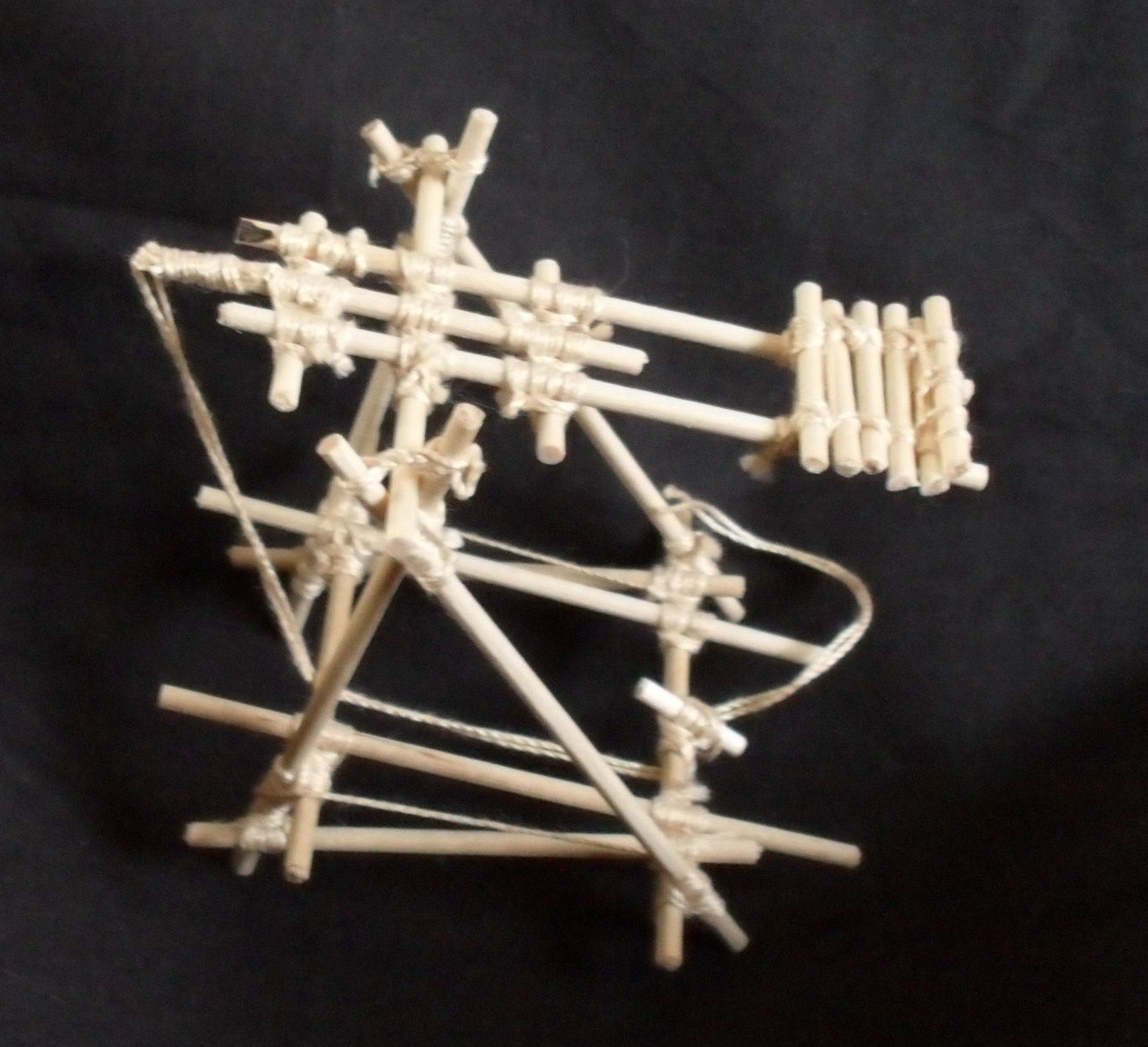 Scout Project: How to Build a Trebuchet