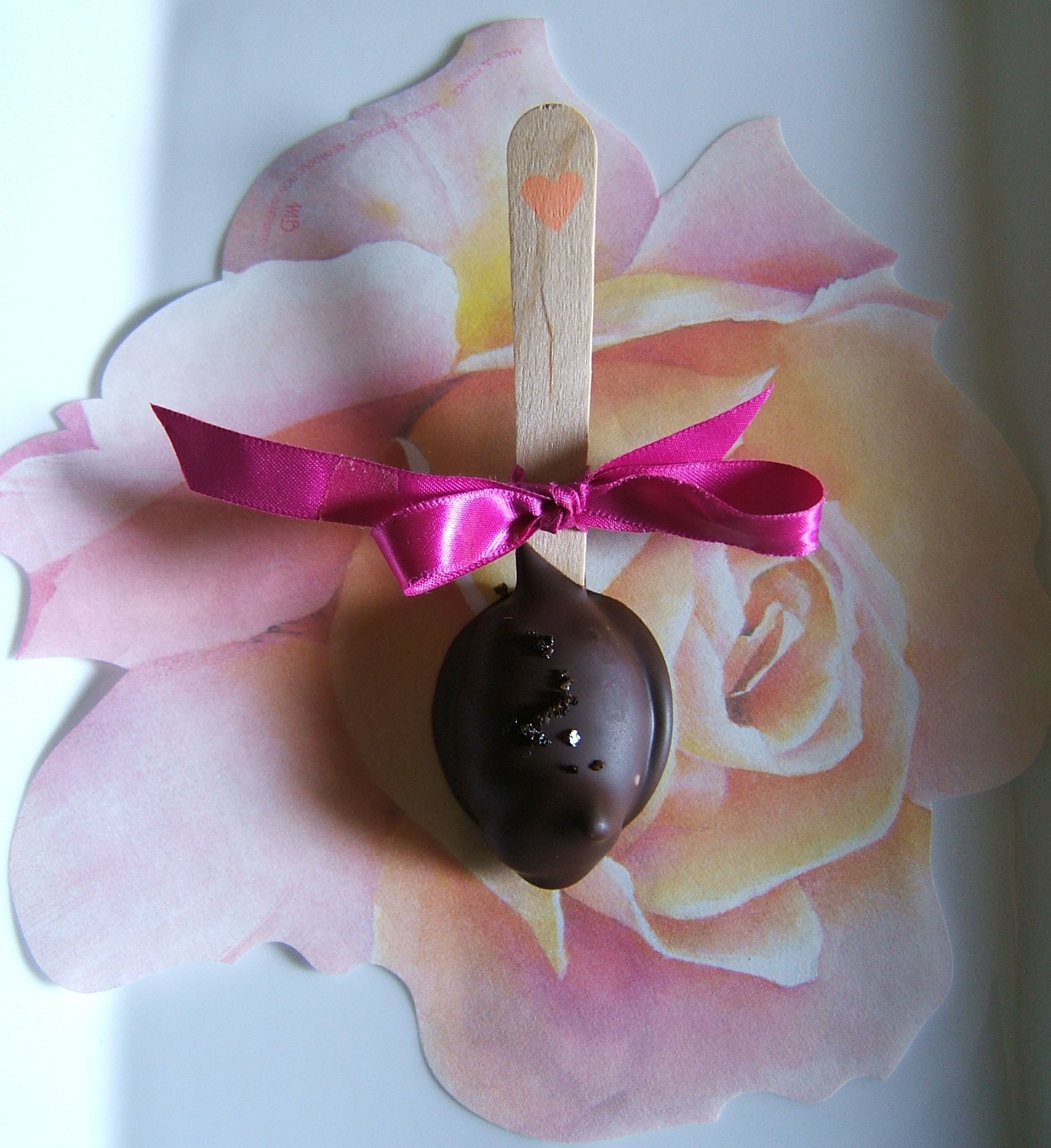 Chocolate Truffle Spoons With Cocoa Nibs