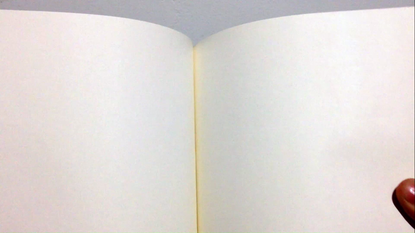 Tom Riddle's Diary From Soda Can and a Diary (Harry Potter) : 5 Steps ...