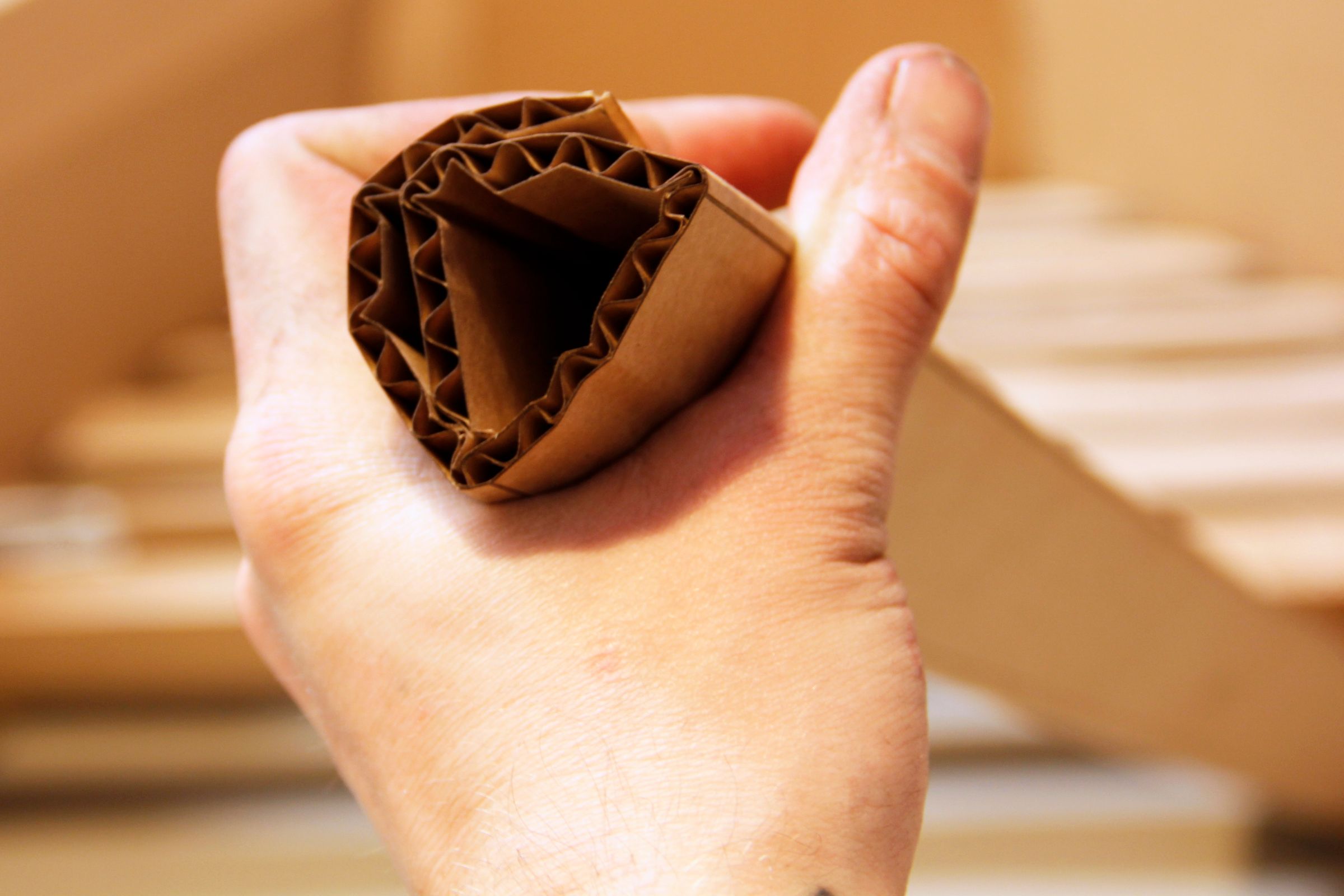 Cardboard Coffins (DIYing Free) 16 Steps (with Pictures) Instructables