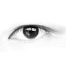 Instructables profile picture for @hessian