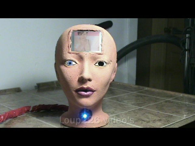 Making an Android for Less Than 30$