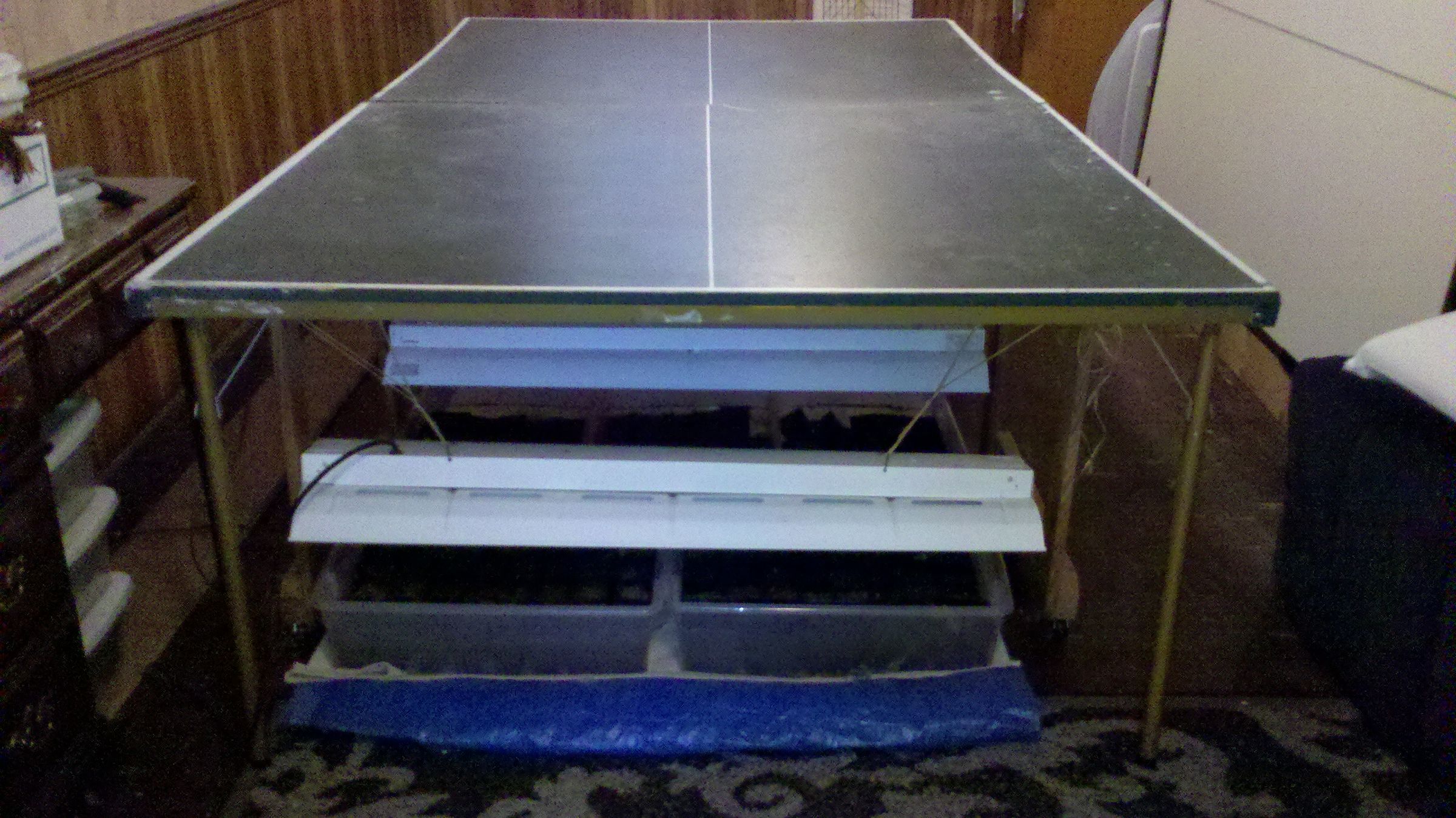 Space Saving Seed Starting Setup