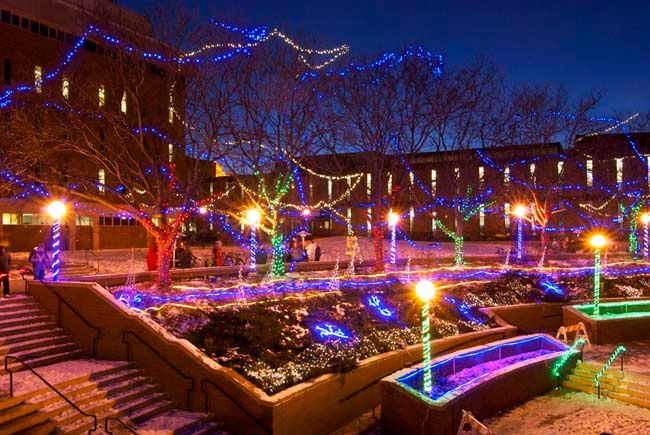 Aurora Digitalis: Lights in the North
