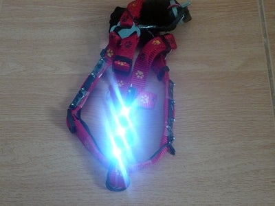 Flashing LED Dog Harness