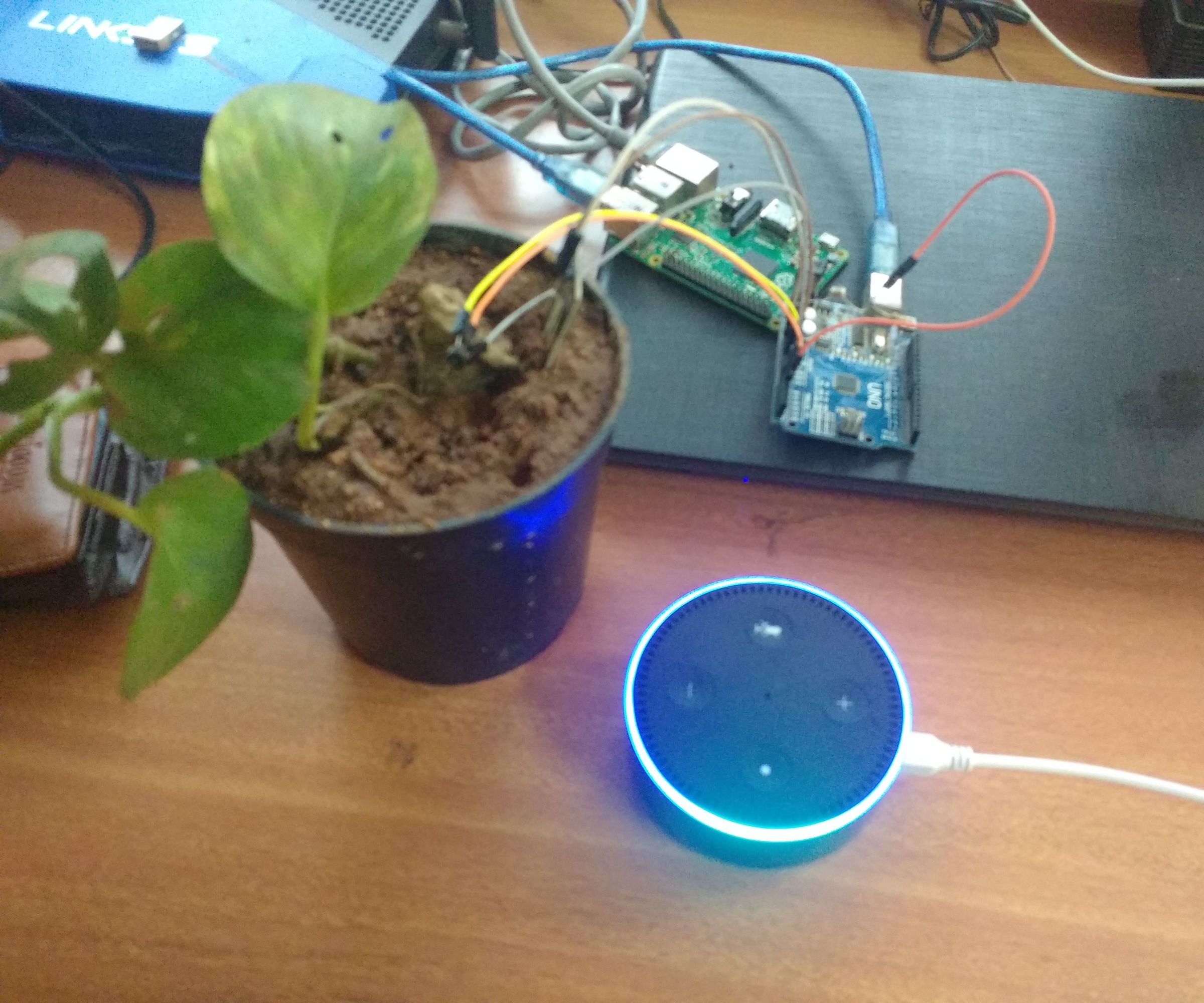 Plant Monitoring Using Alexa