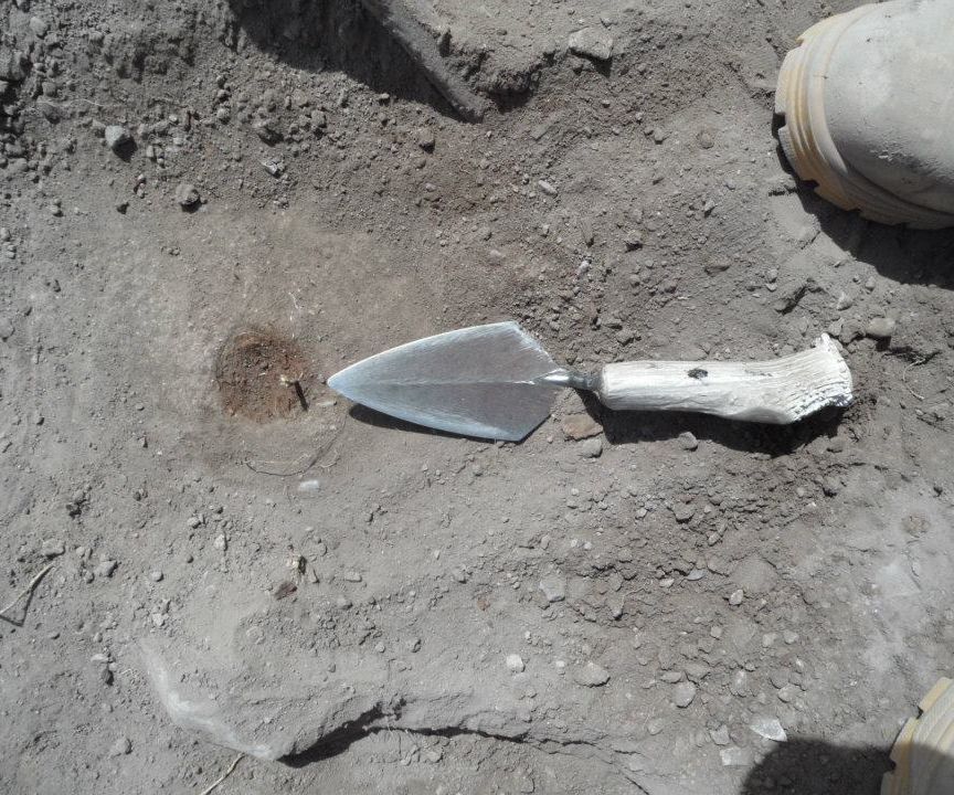 Antler Handle for Trowel