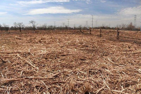 Choosing the Site Location