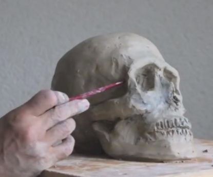 SKULL MODELING