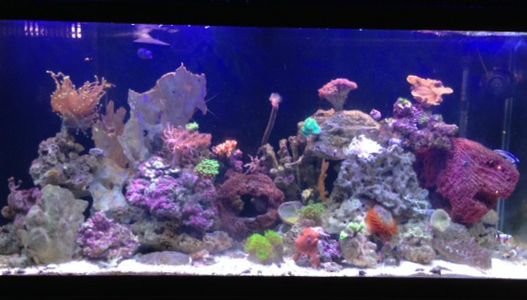 Wireless LED Aquarium Controller With SPARK.IO CORE at TechShop