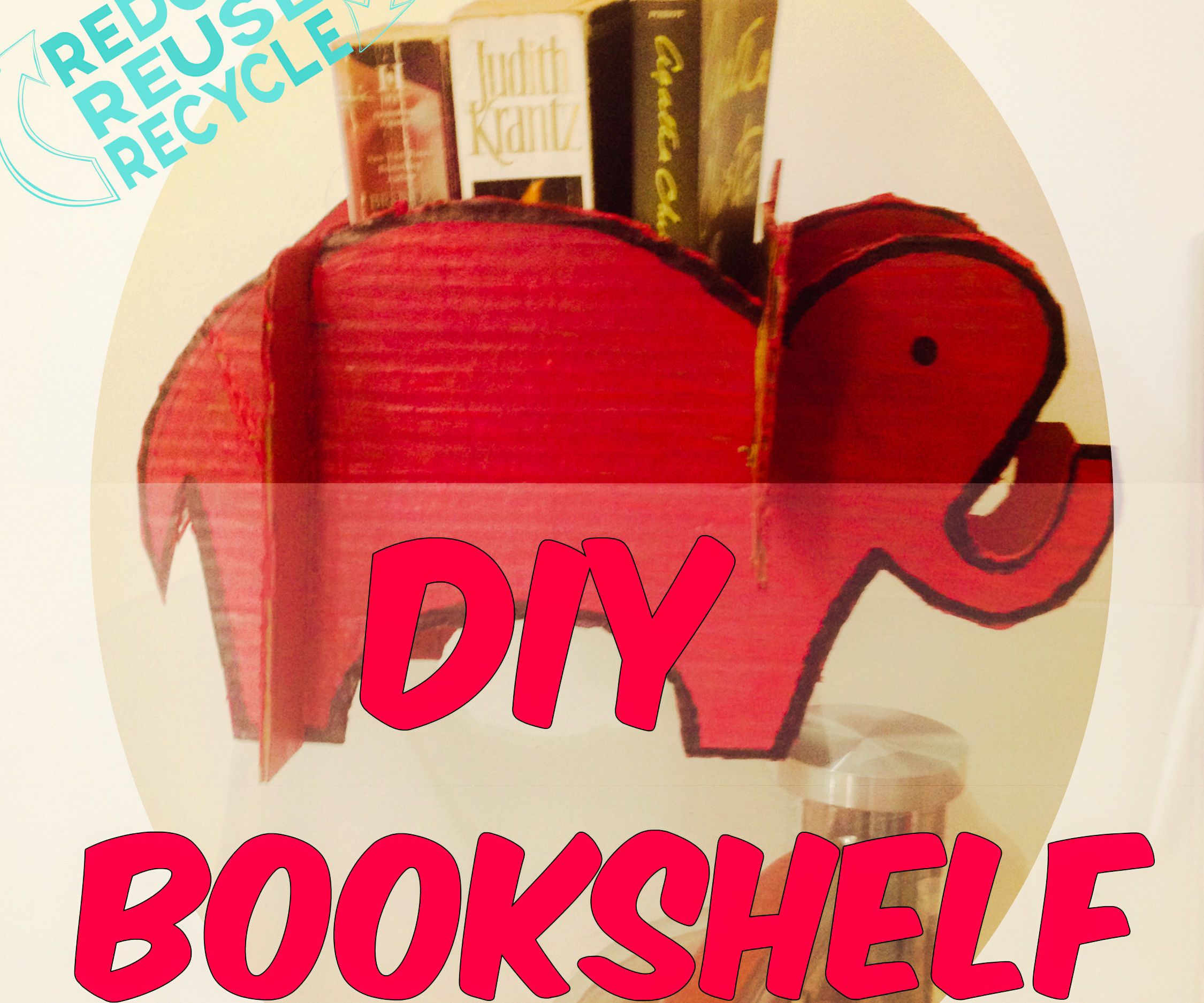 Cute Bookshelf Out of Cardboard