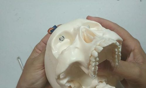 Animatronic Skull With Arduino : 7 Steps (with Pictures) - Instructables