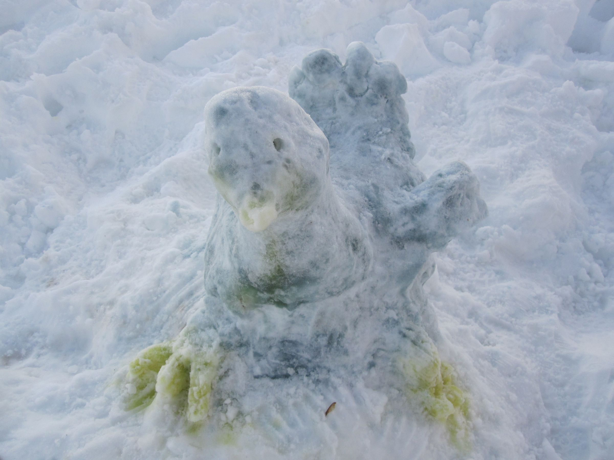 SNOW ZOO: