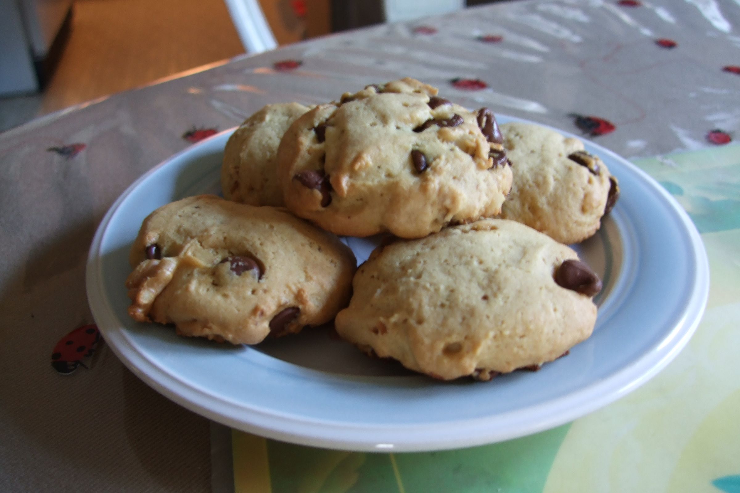 Soft Chocolate Chip With Walnut Cookies