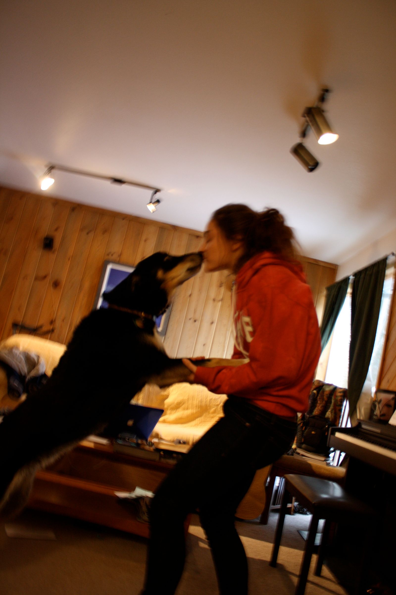 How to Make Your Dog Jump Up and Kiss Your Face 5 Steps Instructables