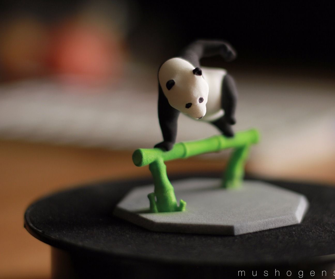 Shuck This Fit, Aka Jí Bá Māo