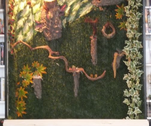Finch Aviary