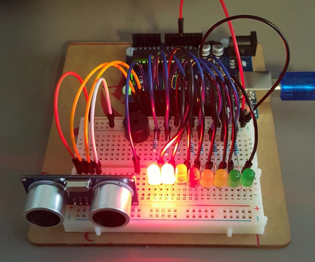 Distance Detector With Buzzer and LED Meter.