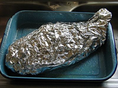 How to Preserve a Fish