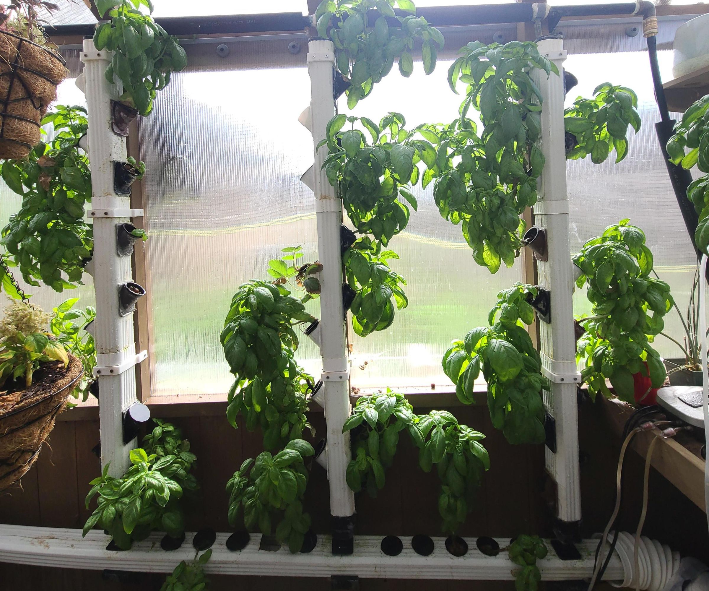 Vertical Hydroponic Tower Array