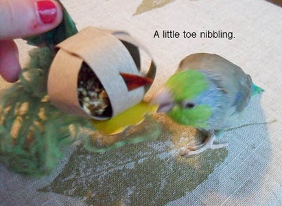 Make It Interactive: Treats!