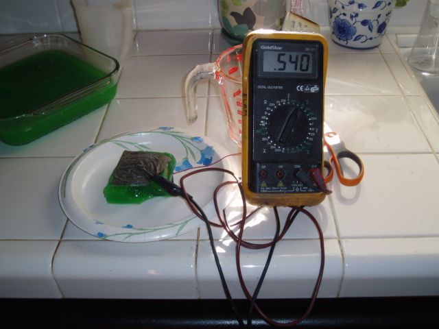 Lime Jello, Yeast and Carbon Paper Fuel Cell