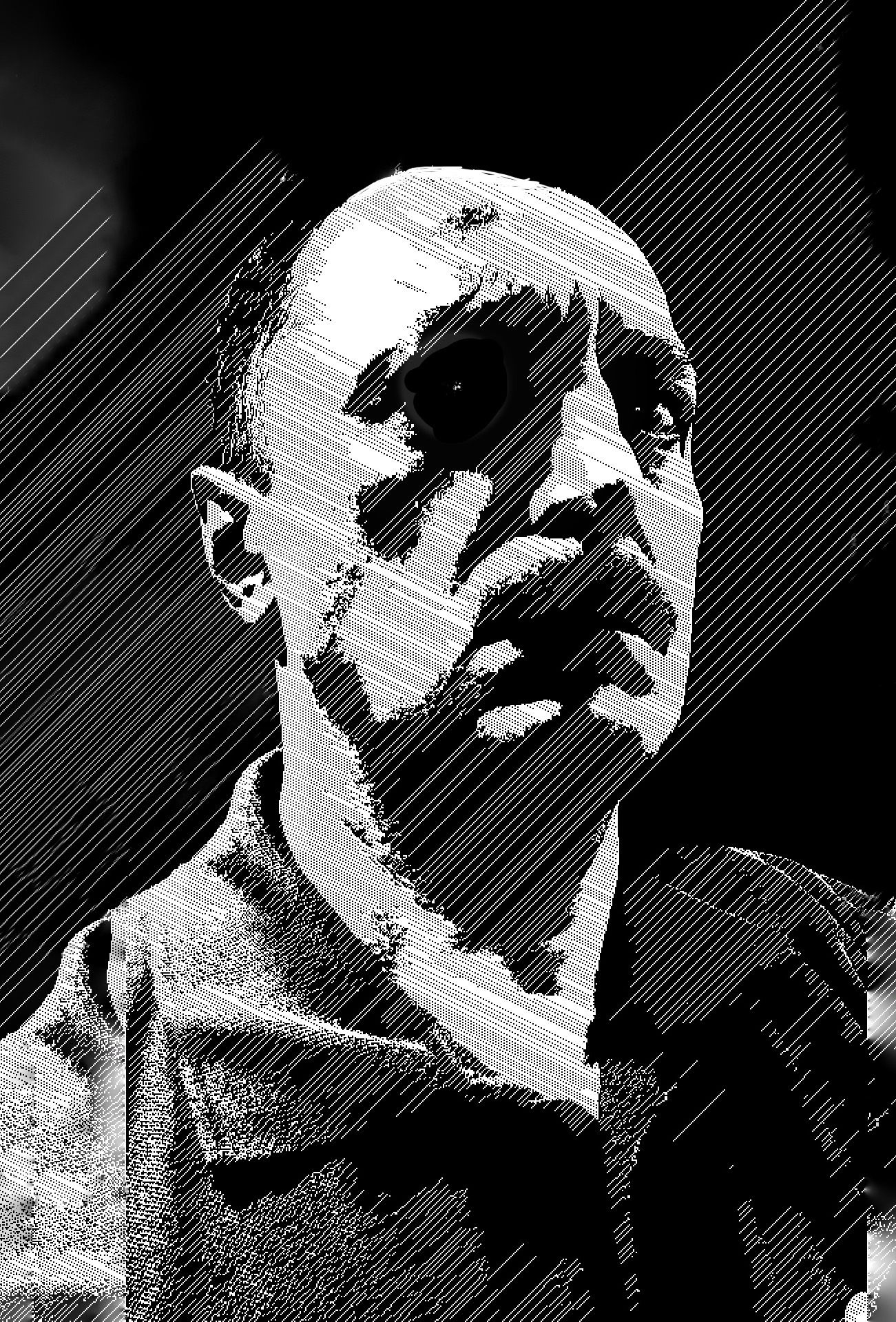 author
