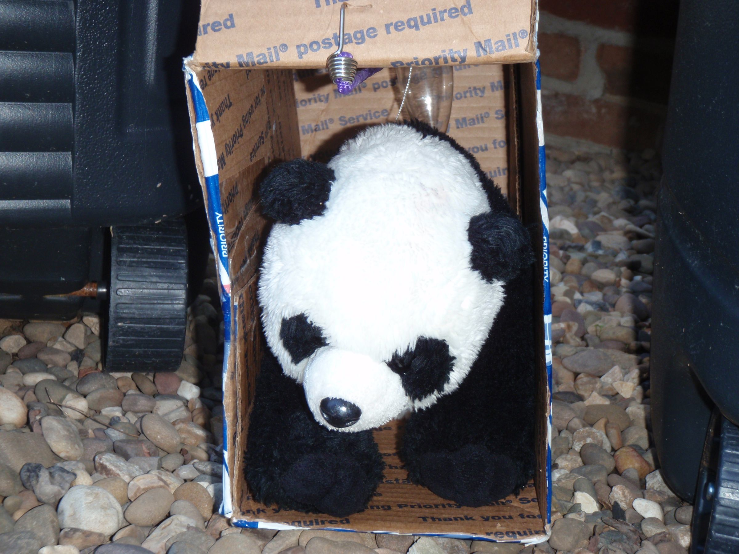 How to Catch a Panda : 5 Steps (with Pictures) - Instructables