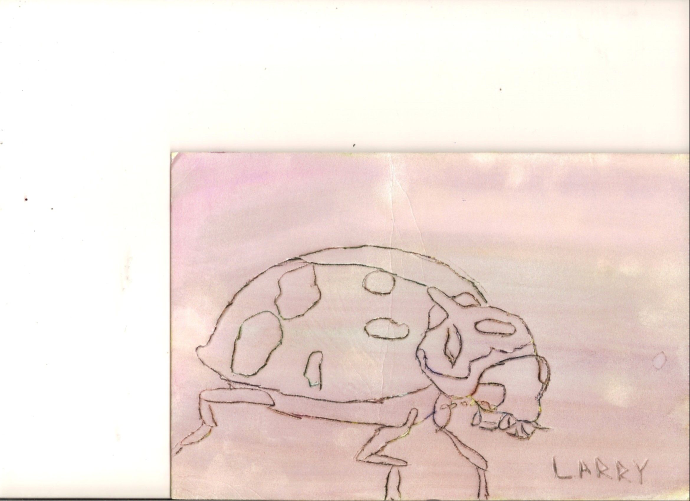 My LadyBug