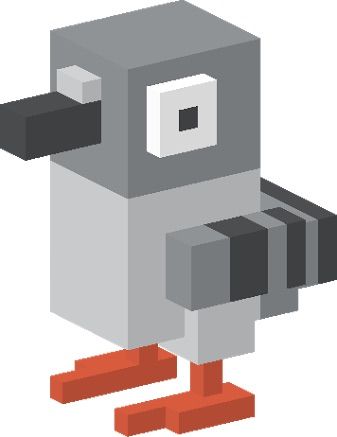 Crazy pigeon