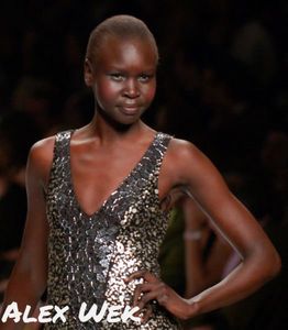 Dark and African Skintones