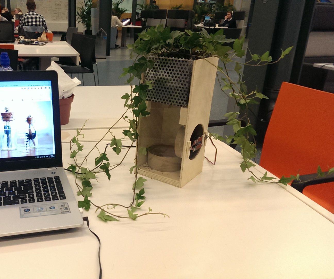Air Purifier Using a Plant (TfCD)
