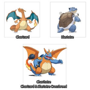 Pokemon Name: Create a Name That Reflects Its Concept