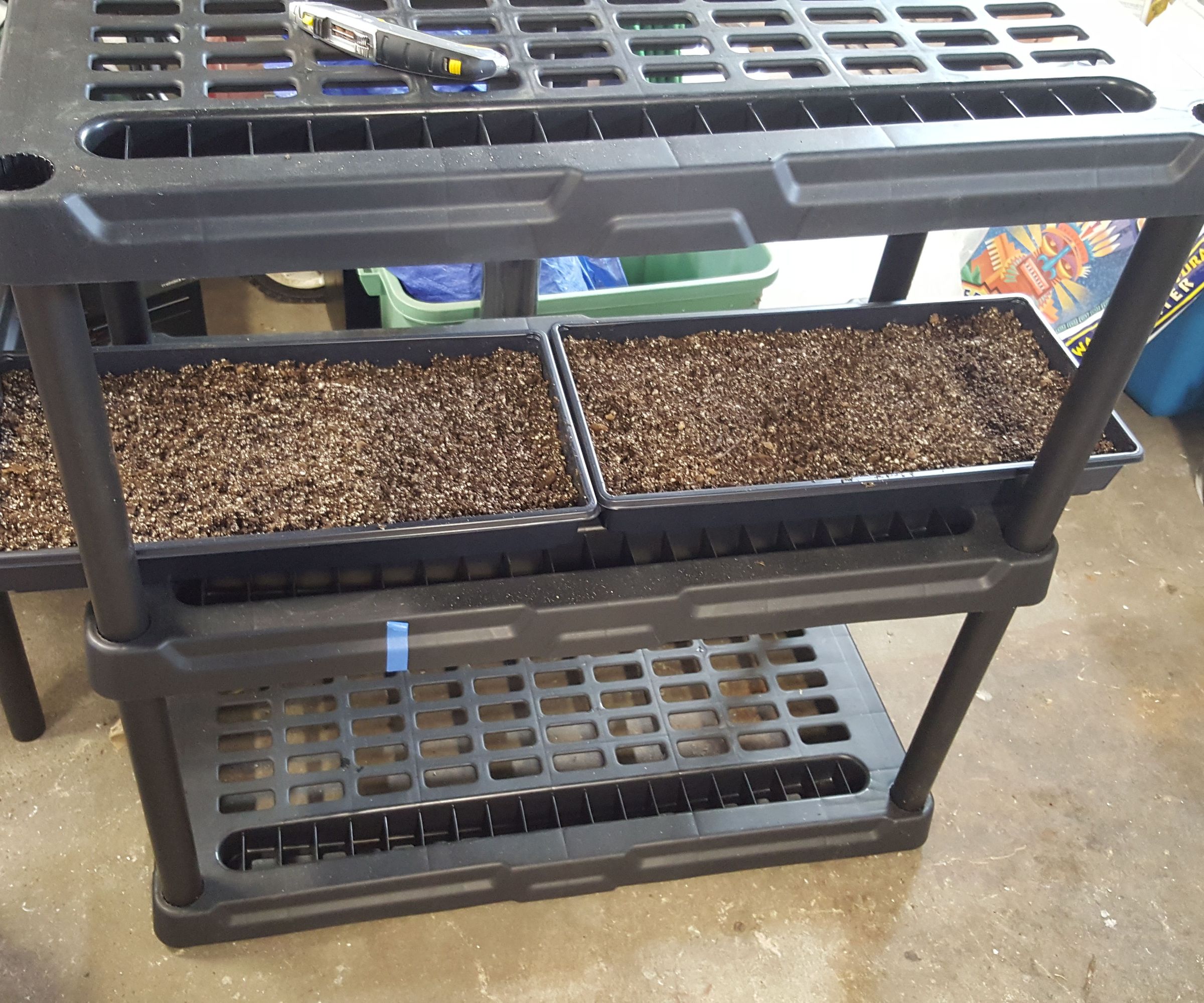 Seed Starting Reflective Growing Tent W/ Lights