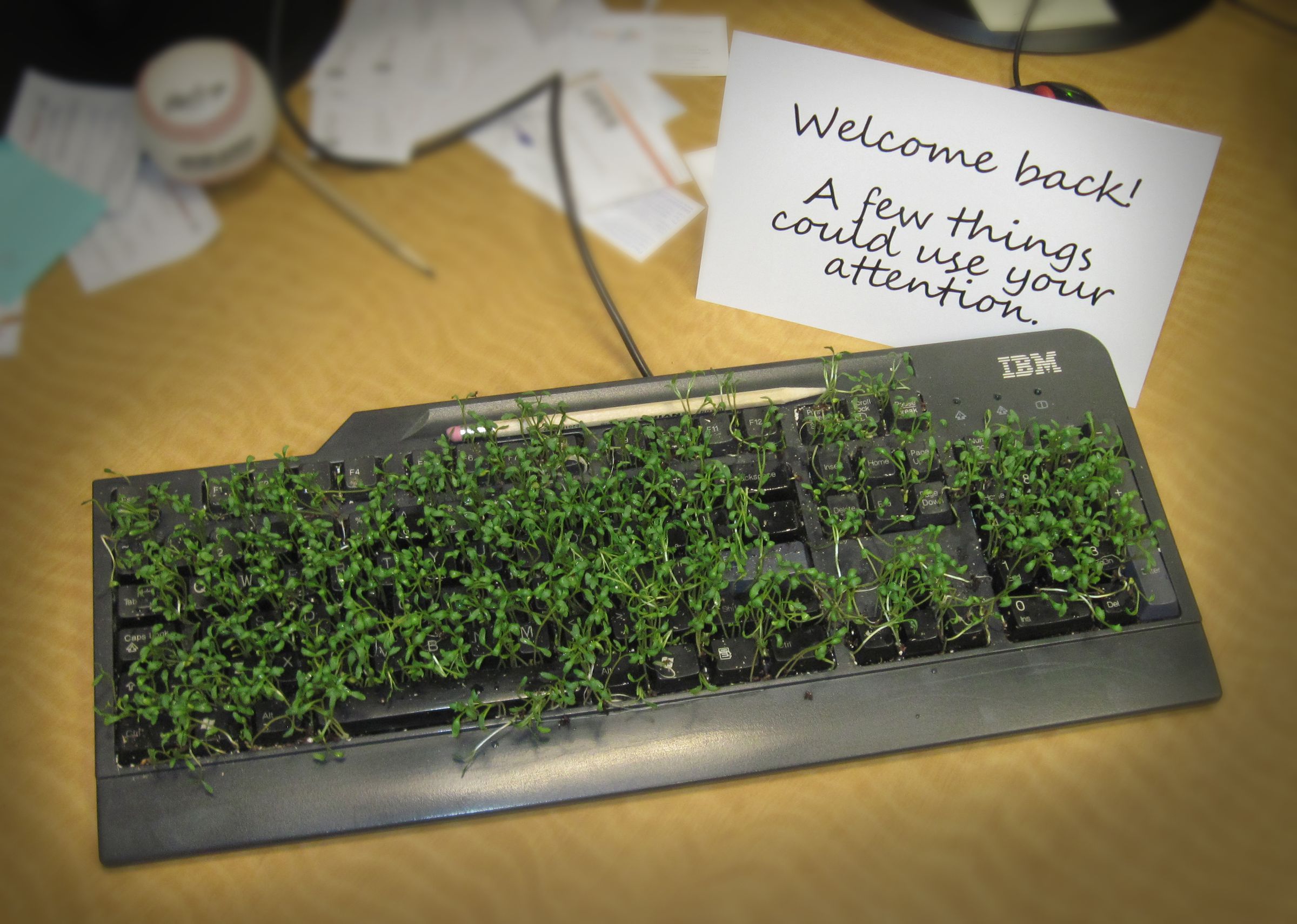 Grow a Keyboard : 10 Steps (with Pictures) - Instructables