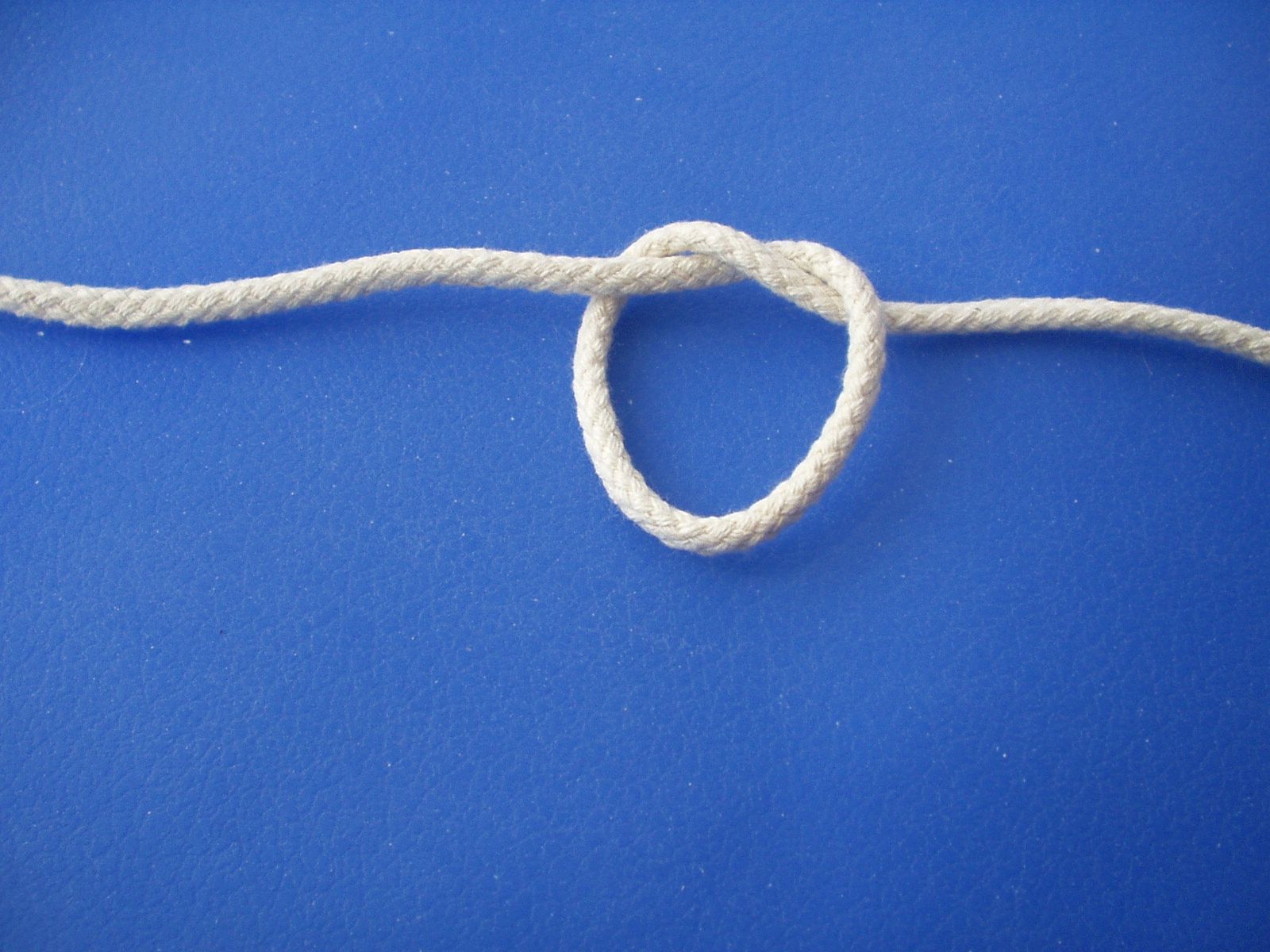 Two Strand Lanyard Knot (ABOK 784) 10 Steps Instructables