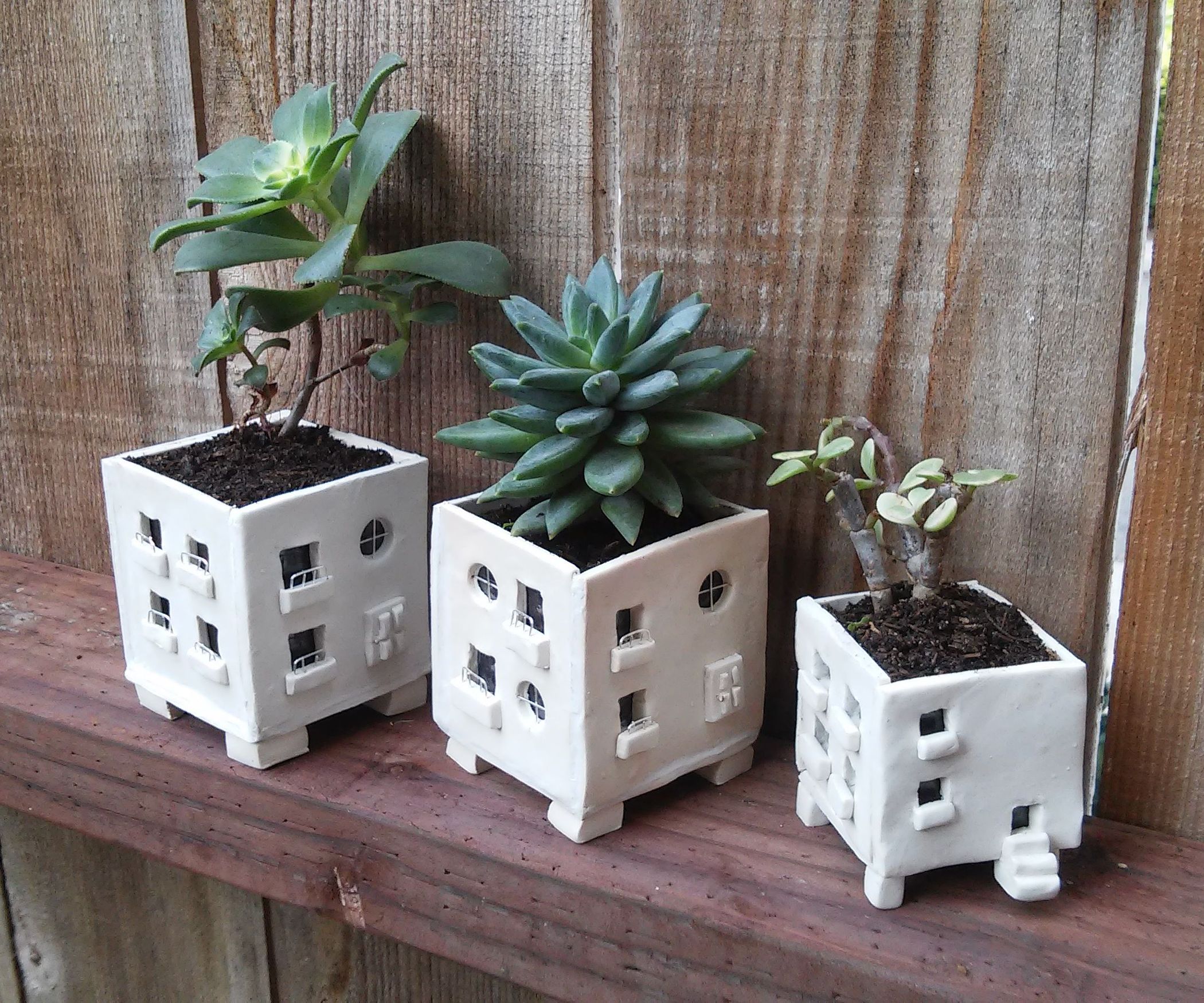Picture of Mini Apartment Planters : 5 Steps (with Pictures) - Instructables