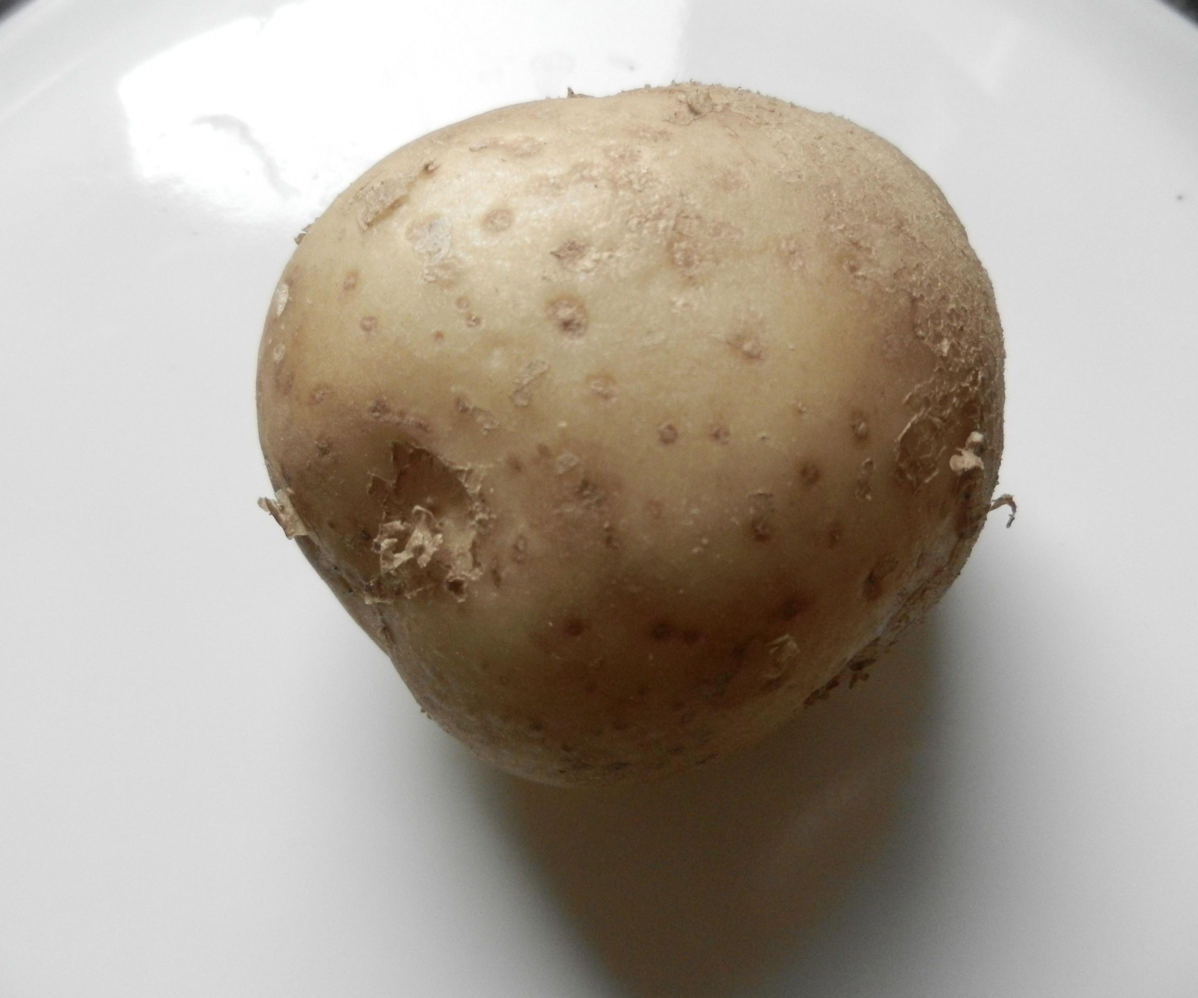 Air Fryer Potato Chips