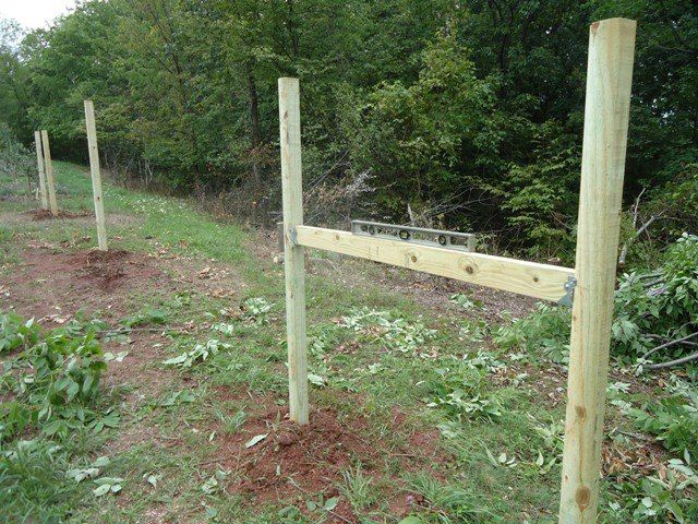Wildlife Grape Trellis : 24 Steps (with Pictures) - Instructables