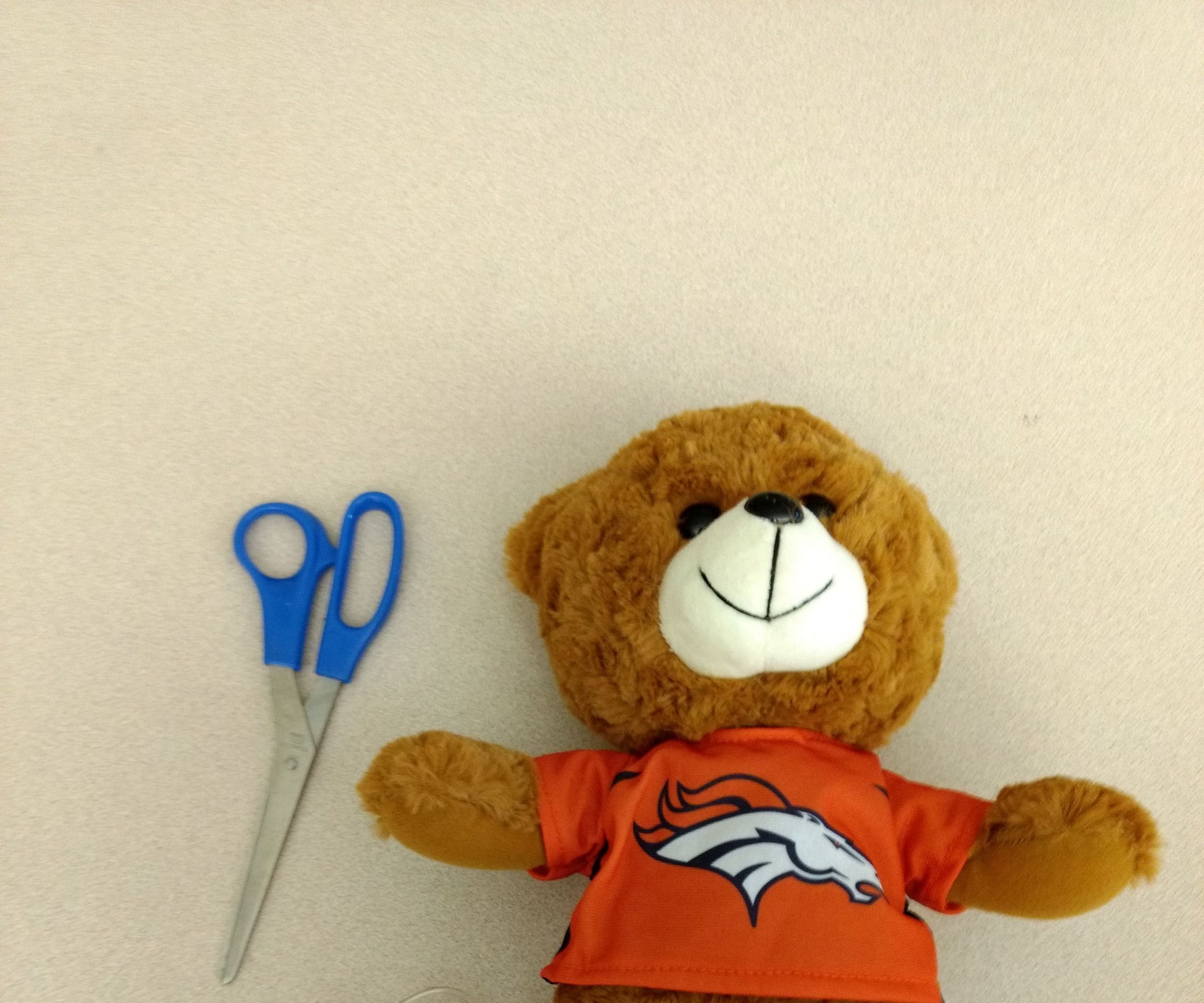 Teddy Bear Listening Device