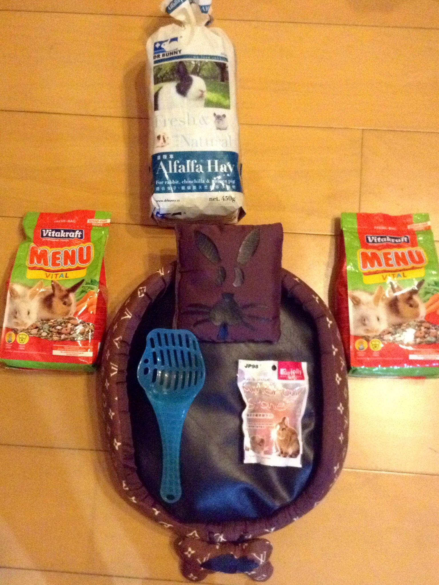 How to Keep Your Rabbit Happy and Healthy