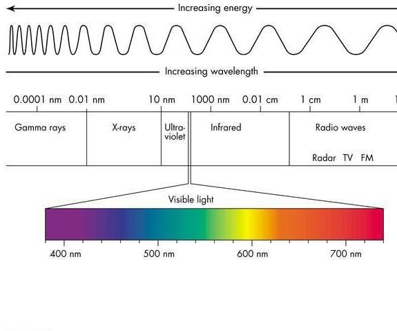 Electromagnetic Waves and the Human Body